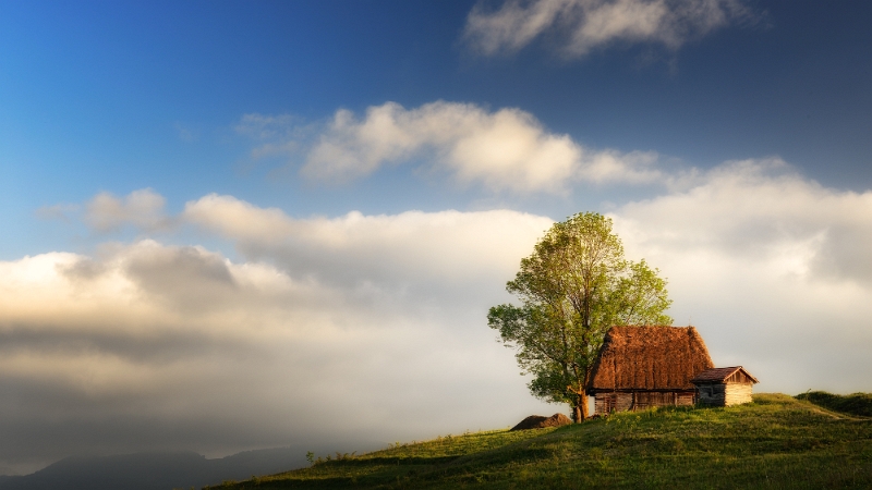 Claudiu Guraliuc - Ultima rază.jpg